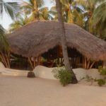 exotic restaurant in rote island of the hotel in rote island 81 palms